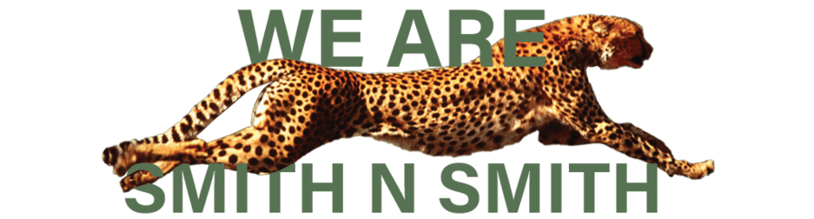 cheetah image
